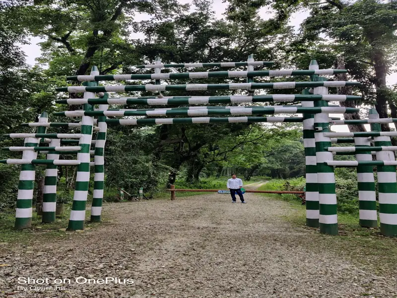 New Jalpaiguri to Gorumara National Park Cab